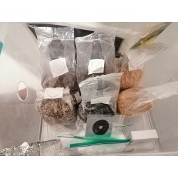 KIT MONOTUBE 45 LTS