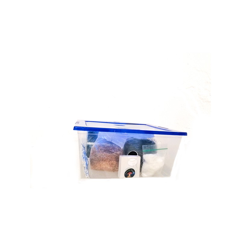 KIT MONOTUBE 15 LTS