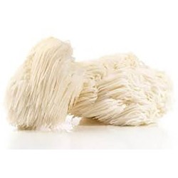 Hericium erinaceus (MELENA...